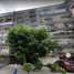 2 Habitación Apartamento en venta en Miguel Hidalgo, Ciudad de México, Miguel Hidalgo, Ciudad de México