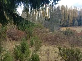  Grundstück zu verkaufen in Cushamen, Chubut, Cushamen