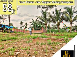  Land for sale in Malang Regency, East Jawa, Kepanjen, Malang Regency