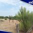  Terreno (Parcela) en venta en Durango, Durango, Durango, Durango