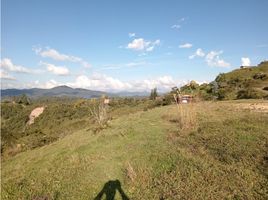  Terrain for sale in Penol, Antioquia, Penol