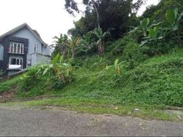  Land for sale in Bandung, West Jawa, Lembang, Bandung