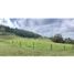 Terrain à vendre à Rionegro, Antioquia, Rionegro, Antioquia