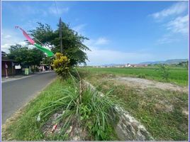  Land for sale in Prambanan, Klaten, Prambanan