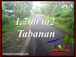  Tanah for sale in Selemadeg, Tabanan, Selemadeg