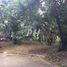  Land for sale in Rizal, Calabarzon, Antipolo City, Rizal