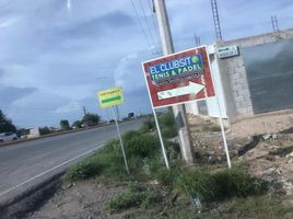  Terreno (Parcela) en venta en Torreon, Coahuila, Torreon