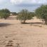 Terreno (Parcela) en venta en Torreon, Coahuila, Torreon