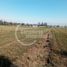 Studio House for sale in Santiago, Buin, Maipo, Santiago