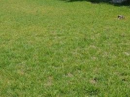  Terreno (Parcela) en venta en Tlalpan, Ciudad de México, Tlalpan