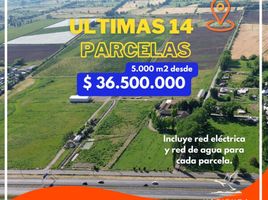  Terreno (Parcela) en venta en Chile, Requinao, Cachapoal, Libertador General Bernardo O'Higgins, Chile