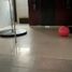 3 Bedroom House for sale in Toluca, Mexico, Toluca