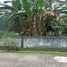  Land for sale in Yogyakarta, Mlati, Sleman, Yogyakarta