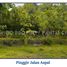  Land for sale in Tepus, Yogyakarta, Tepus, Gunung Kidul
