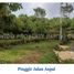  Land for sale in Tepus, Yogyakarta, Tepus, Gunung Kidul