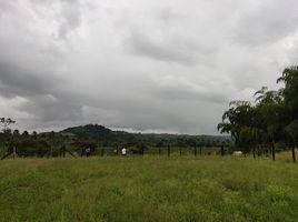  Land for sale in Pereira, Risaralda, Pereira