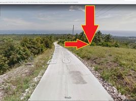  Land for sale in Alcoy, Central Visayas, Alcoy