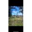  Terreno (Parcela) en venta en Los Lagos, Castro, Chiloé, Los Lagos