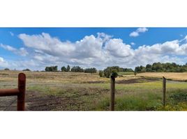  Terreno (Parcela) en venta en Los Lagos, Castro, Chiloé, Los Lagos