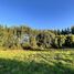 Terrain for sale in Llanquihue, Los Lagos, Puerto Varas, Llanquihue
