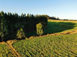  Terrain for sale in Llanquihue, Los Lagos, Puerto Varas, Llanquihue