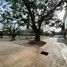 50 平米 Office for sale in Merida, Yucatan, Merida