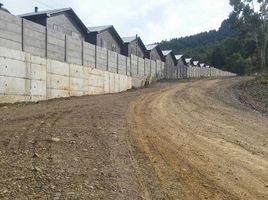 Terreno (Parcela) en venta en Araucanía, Temuco, Cautín, Araucanía
