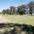  Terreno (Parcela) en venta en Salamanca, Guanajuato, Salamanca