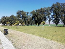  Terreno (Parcela) en venta en Salamanca, Guanajuato, Salamanca