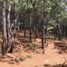  Terreno (Parcela) en venta en Mazamitla, Jalisco, Mazamitla