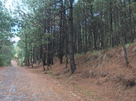  Terreno (Parcela) en venta en Mazamitla, Jalisco, Mazamitla