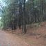  Land for sale in Mazamitla, Jalisco, Mazamitla