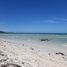  Land for sale in Anda, Central Visayas, Anda