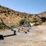  Land for sale in Chile, Requinao, Cachapoal, Libertador General Bernardo Ohiggins, Chile