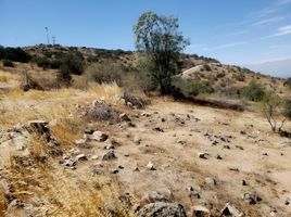  Land for sale in Chile, Requinao, Cachapoal, Libertador General Bernardo Ohiggins, Chile