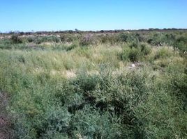  Land for sale in La Paz, Mendoza, La Paz