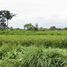  Terreno (Parcela) en venta en Ngaglik, Yogyakarta, Ngaglik