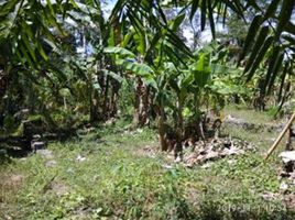  Terrain for sale in Badung, Bali, Mengwi, Badung