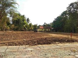  Land for sale in Yogyakarta, Pengasih, Kulon Progo, Yogyakarta