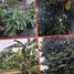  Terreno (Parcela) en venta en Lemahabang, West Jawa, Lemahabang, Bekasi, West Jawa