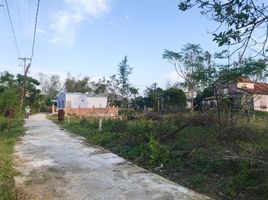  Land for sale in Ngu Hanh Son, Da Nang, Hoa Quy, Ngu Hanh Son