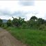  Land for sale in Bandung, West Jawa, Lembang, Bandung