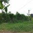  Land for sale in Bandung, West Jawa, Lembang, Bandung