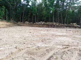  Land for sale in Bantul, Yogyakarta, Pajangan, Bantul