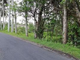  Land for sale in Ubud, Gianyar, Ubud