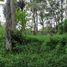  Land for sale in Ubud, Gianyar, Ubud