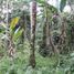  Land for sale in Ubud, Gianyar, Ubud