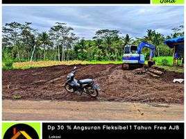  Land for sale in Kepanjen, Malang Regency, Kepanjen