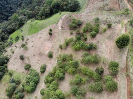  Terrain for sale in Sabaneta, Antioquia, Sabaneta