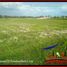  Land for sale in Selemadeg, Tabanan, Selemadeg